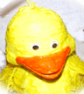 Close Up of Duckie Piata
